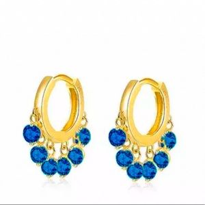 Blue Hoop Earrings